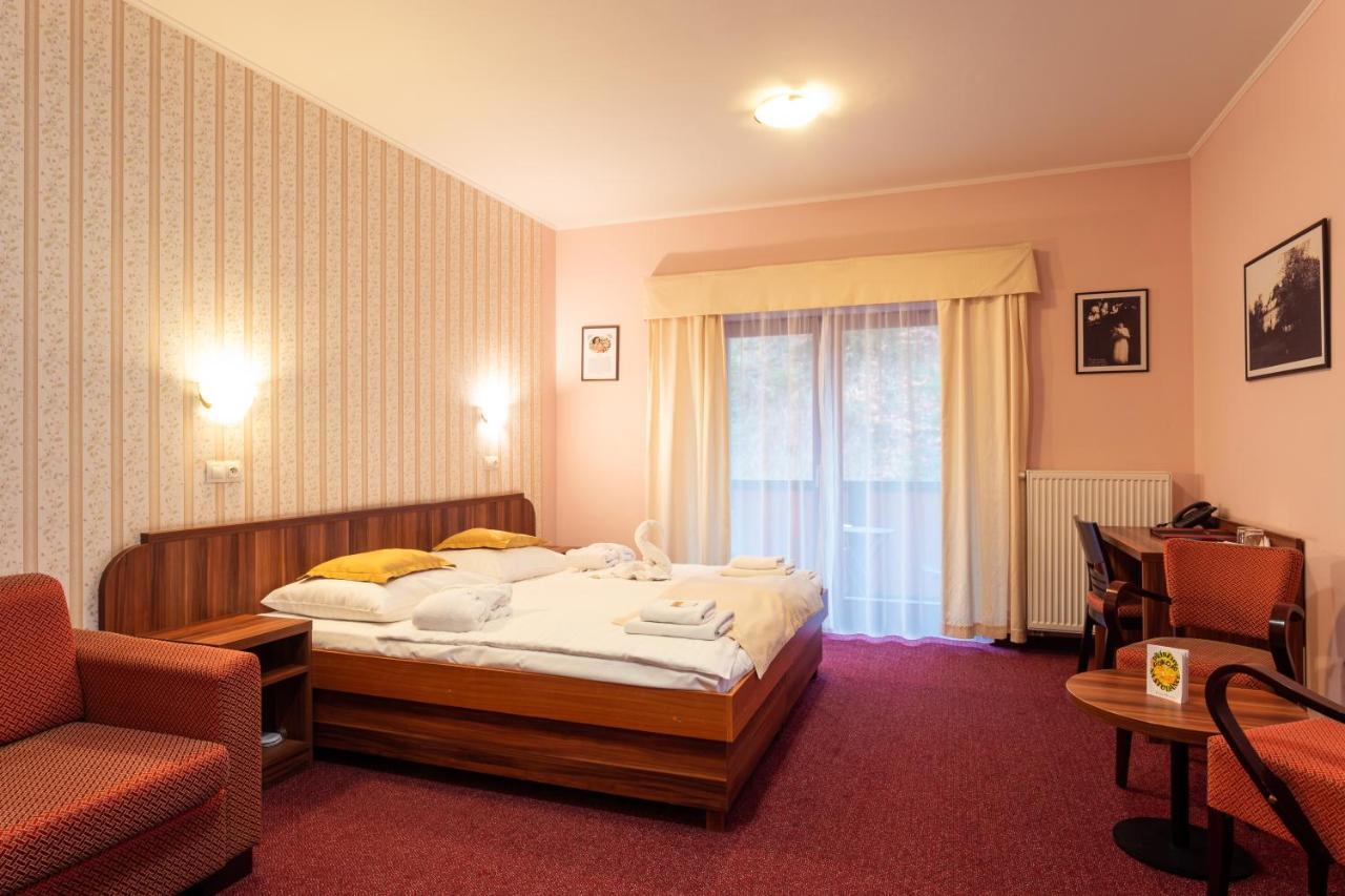 Hotel Studanka Rychnov nad Kneznou Ngoại thất bức ảnh